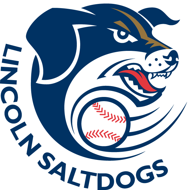Lincoln Saltdogs 2006-Pres Primary Logo iron on transfers for T-shirts